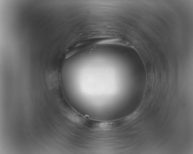 X0000069810184200605221214