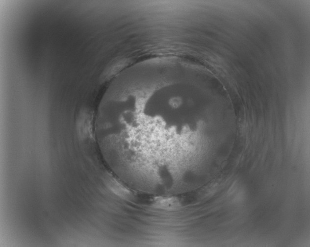 X0000069810185200605221214