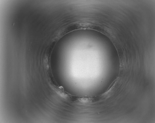 X0000069810187200605221214