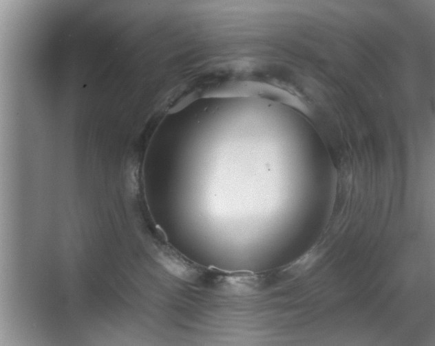 X0000069810188200605221214