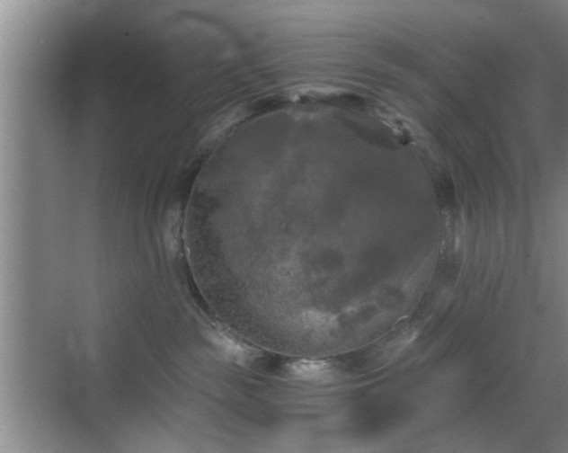 X0000069810189200605221214