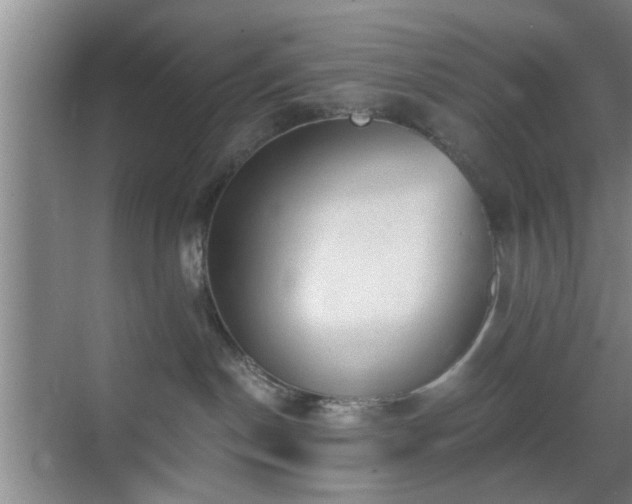 X0000069810190200605221214