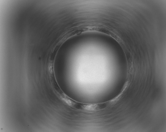 X0000069810191200605221214