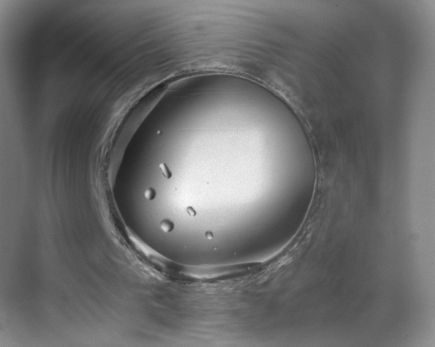 X0000069810193200605221213