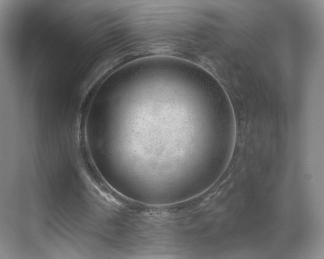 X0000069810194200605221213