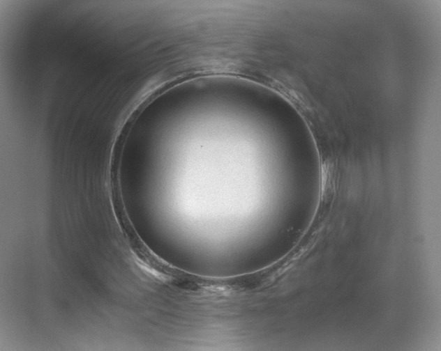 X0000069810195200605221213