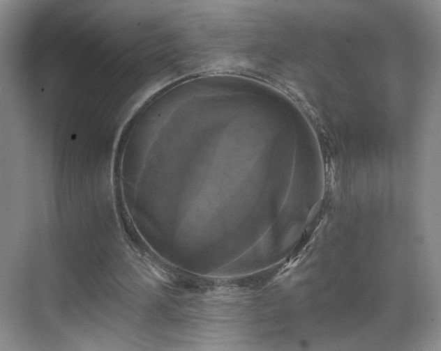 X0000069810196200605221213