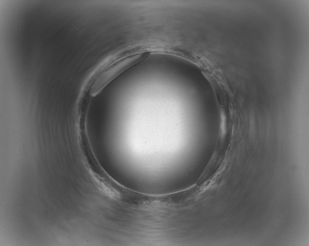 X0000069810197200605221213