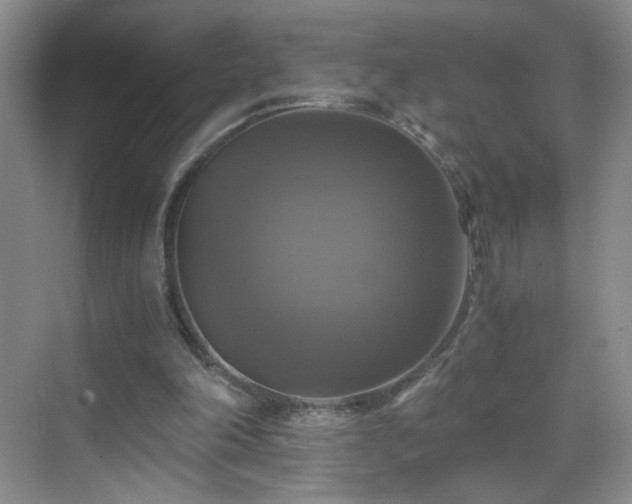 X0000069810198200605221213