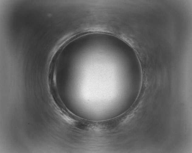 X0000069810199200605221213