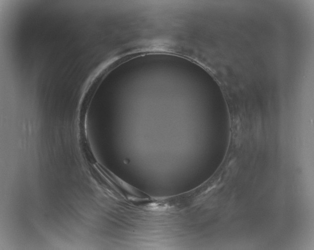 X0000069810200200605221213