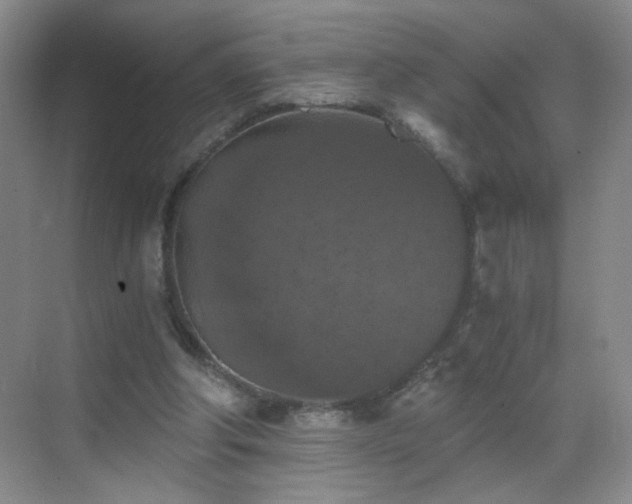 X0000069810202200605221213