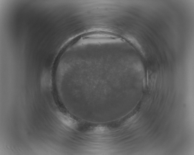 X0000069810204200605221213