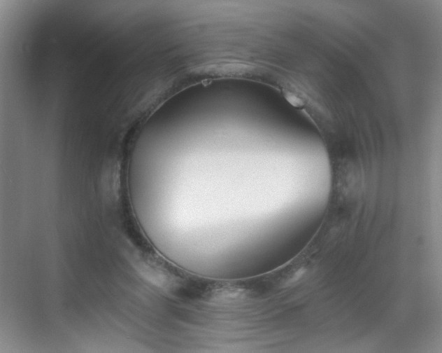 X0000069810206200605221213