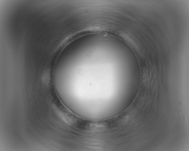 X0000069810208200605221213