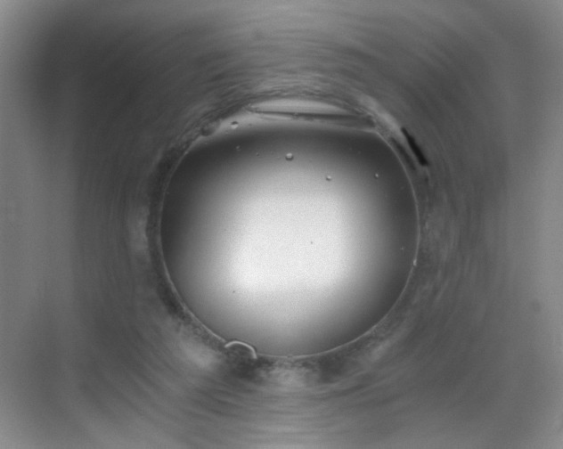 X0000069810209200605221213