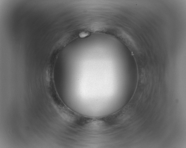 X0000069810210200605221213