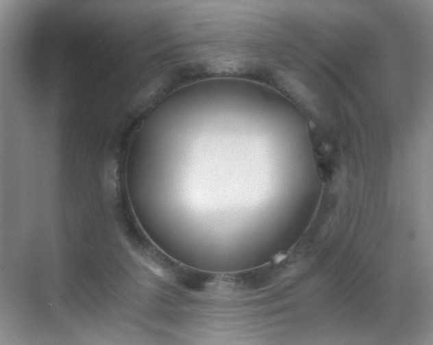 X0000069810211200605221213