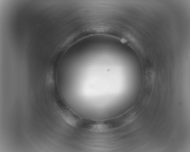 X0000069810212200605221213