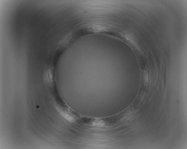 X0000069810214200605221213