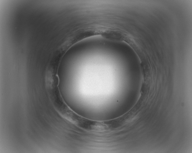 X0000069810215200605221213