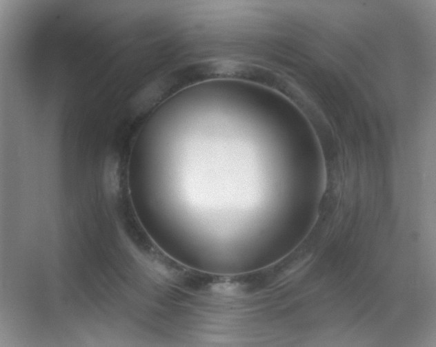 X0000069810216200605221213