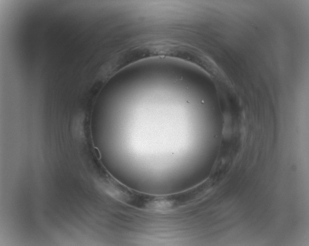 X0000069810217200605221213