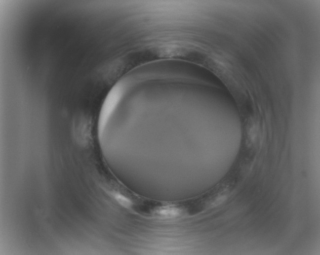 X0000069810219200605221212