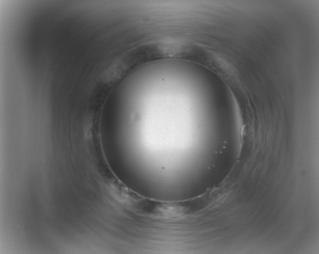 X0000069810221200605221212