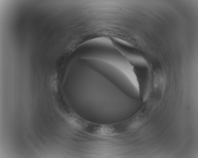 X0000069810223200605221212