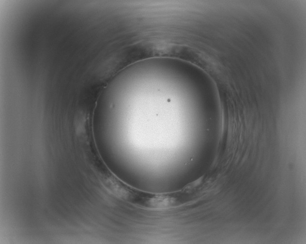 X0000069810225200605221212