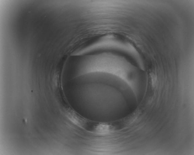 X0000069810227200605221212