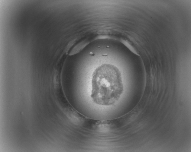 X0000069810228200605221212