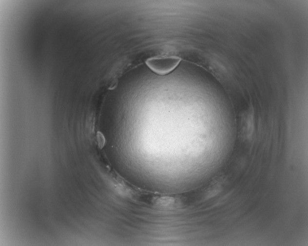 X0000069810230200605221212