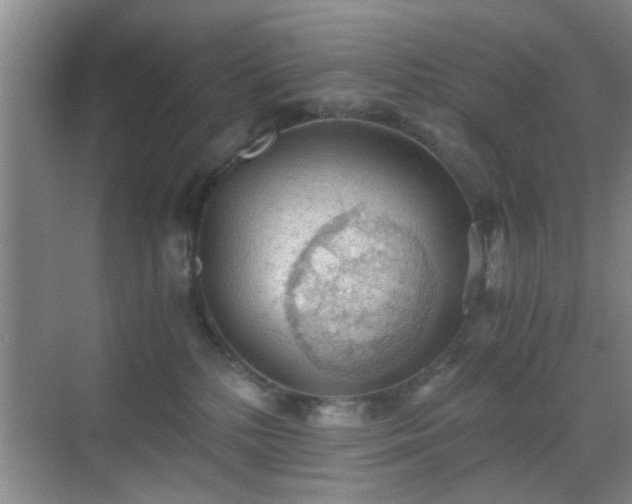 X0000069810232200605221212