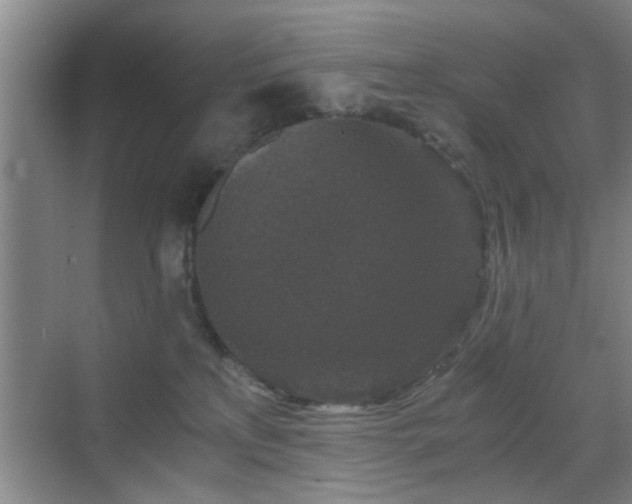 X0000069810233200605221212