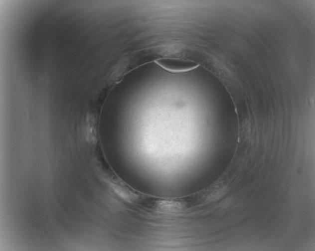 X0000069810234200605221212