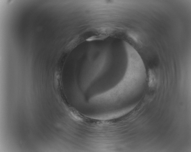 X0000069810235200605221212