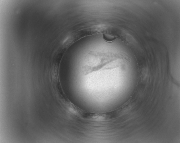 X0000069810236200605221212