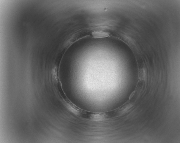 X0000069810238200605221212