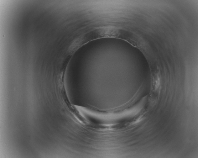 X0000069810239200605221212