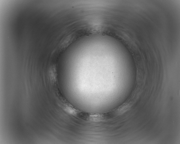 X0000069810240200605221212