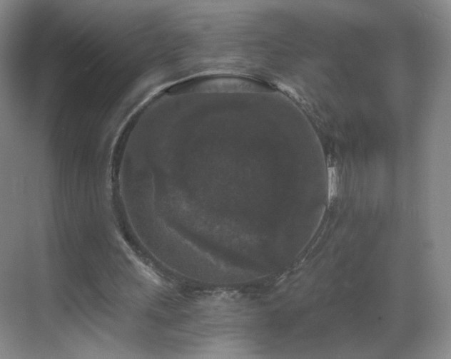 X0000069810243200605221211