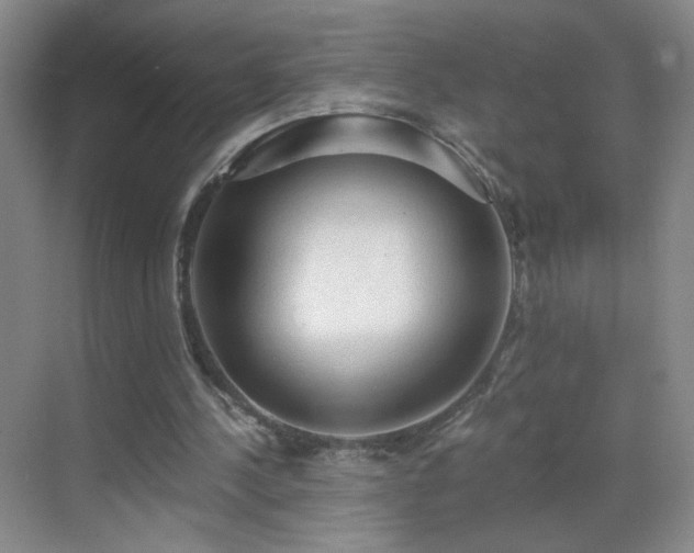 X0000069810244200605221211