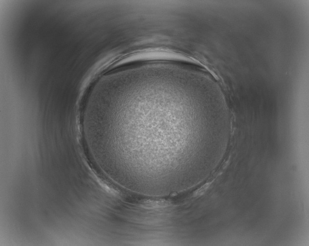 X0000069810245200605221211