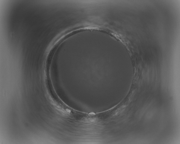 X0000069810247200605221211