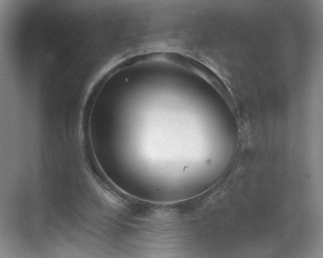 X0000069810248200605221211