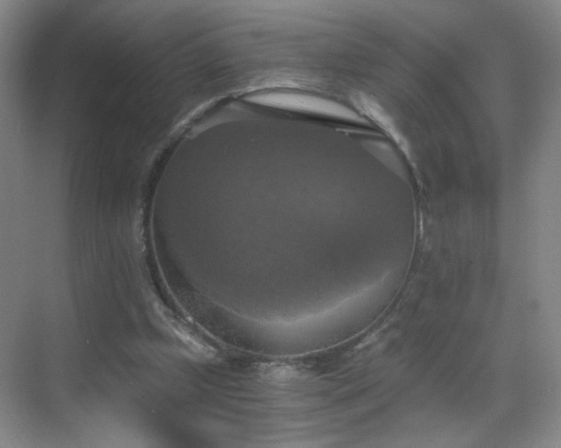 X0000069810249200605221211