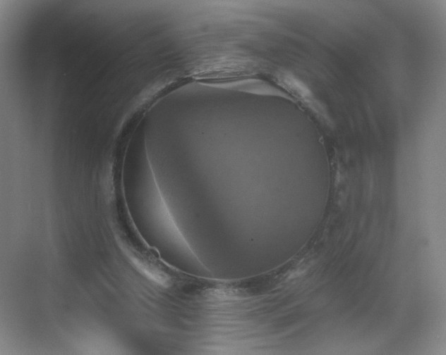 X0000069810250200605221211