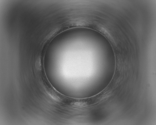 X0000069810251200605221211